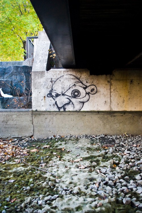 Graffiti under park bridge in Montreal