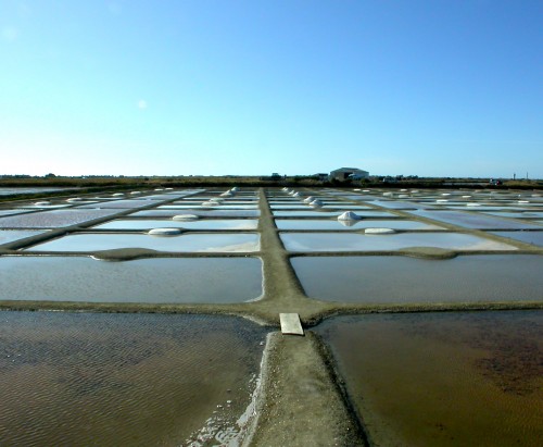Salt harvest on the island of Noirmoutiers, France. Picture taken by Pierre Gaudreau