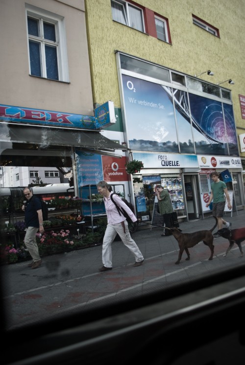 Dogs smelling another in Berlin, Germany